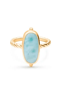ANILLO ADHIKARI BAÑADO EN ORO