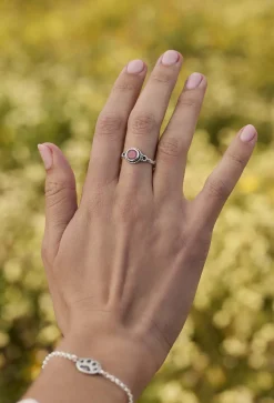 ANILLO AMIT