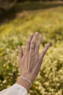 ANILLO AMIT