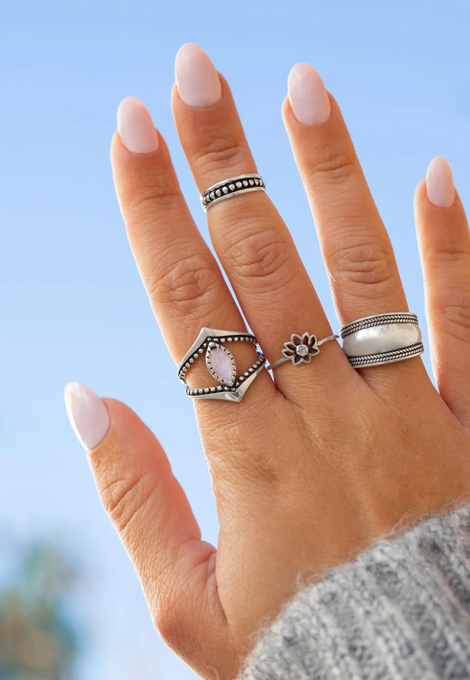 ANILLO ANK