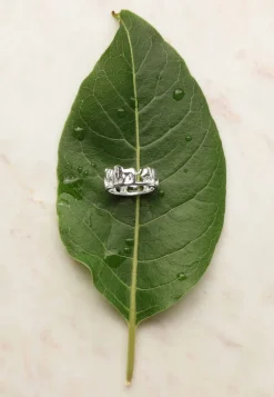 ANILLO JANAVARON