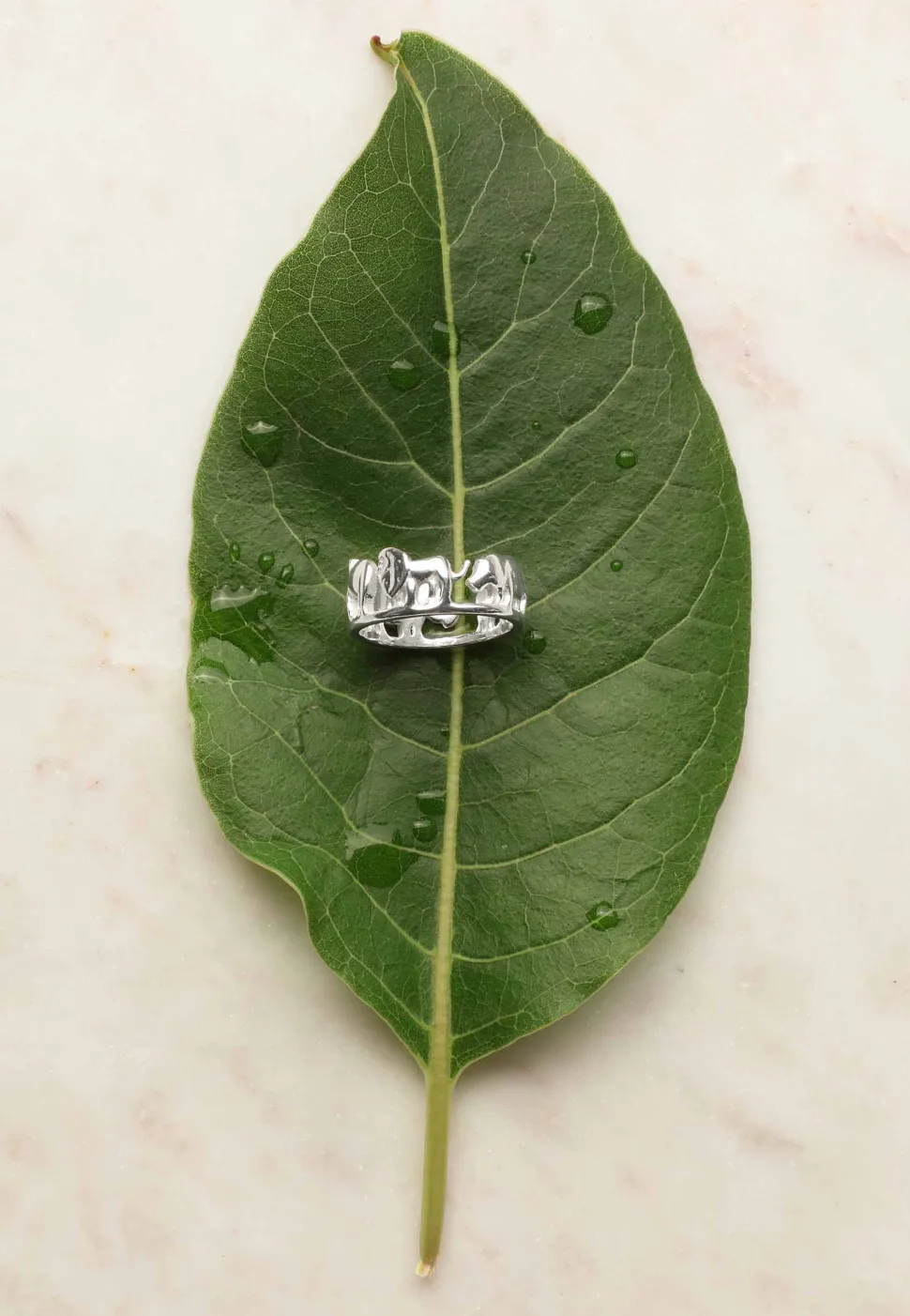 ANILLO JANAVARON