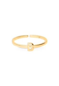 ANILLO NAAM BAÑADO EN ORO