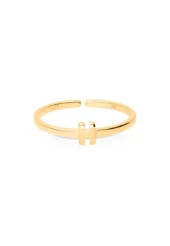 ANILLO NAAM BAÑADO EN ORO