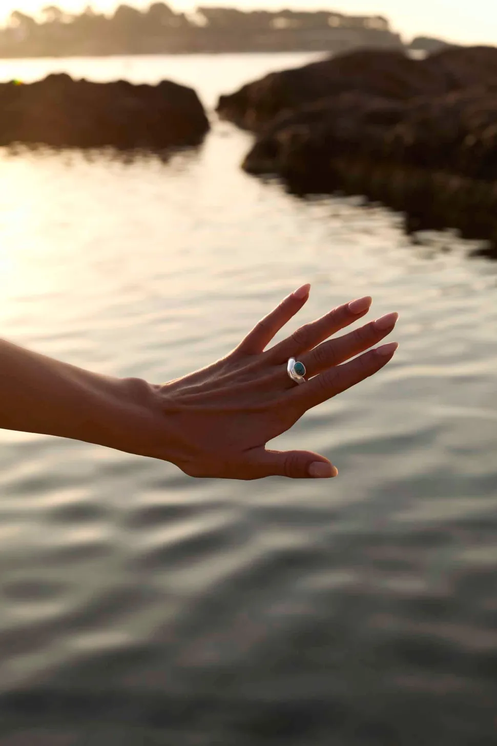 ANILLO NAUKA