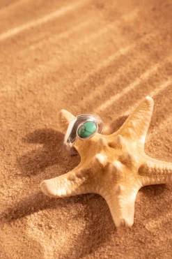 ANILLO NAUKA