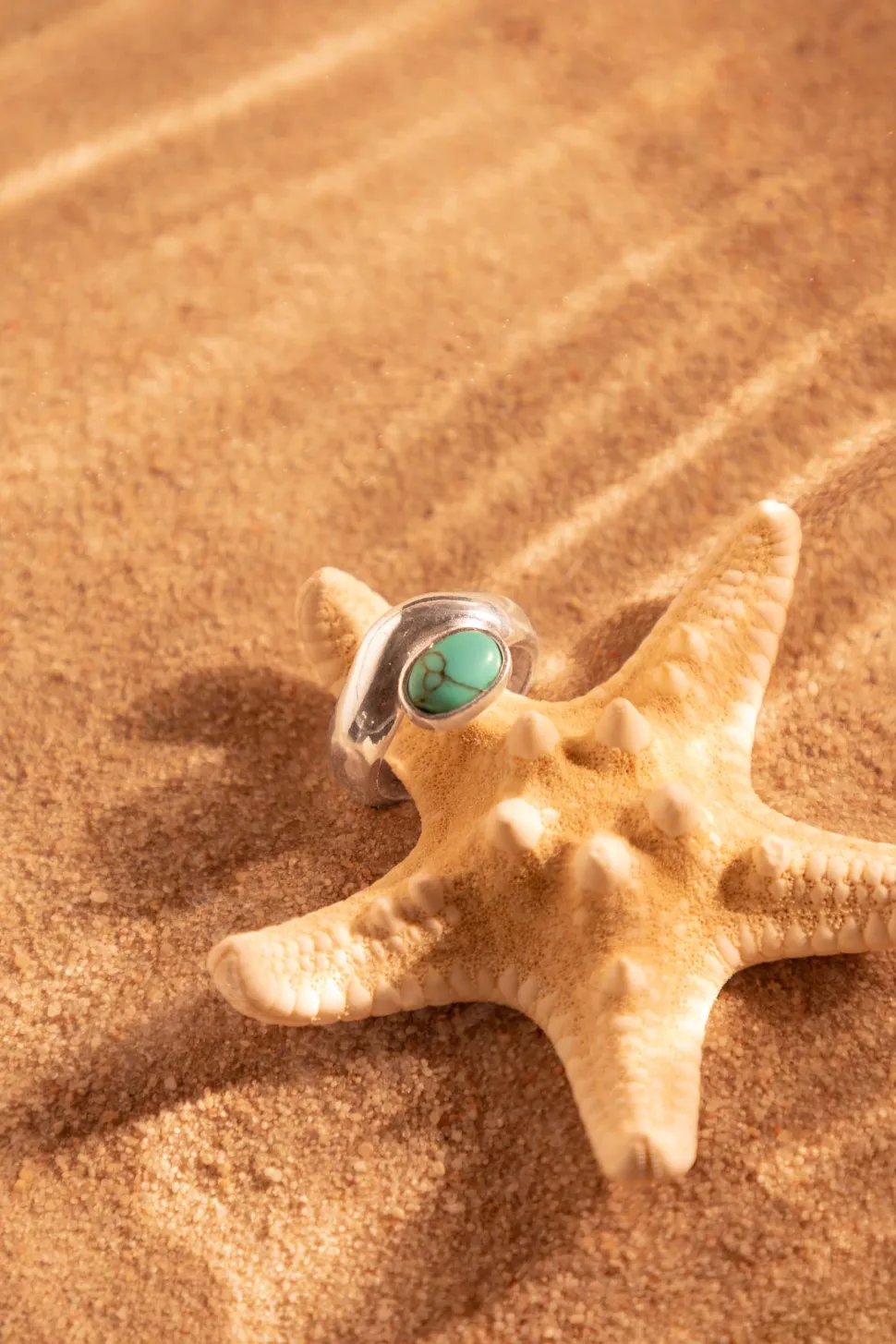 ANILLO NAUKA