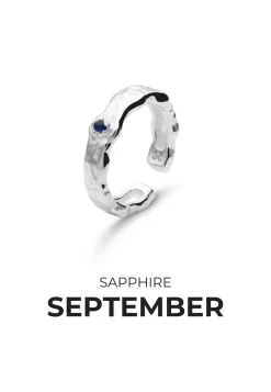 ANILLO PIEDRAS DE NACIMIENTO