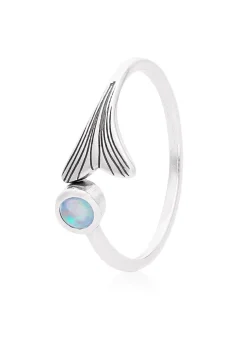 ANILLO PONCH