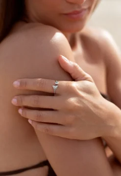 ANILLO PONCH