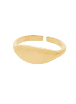 ANILLO PURNIT GRABADO BAÑADO EN ORO