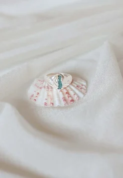 ANILLO SELS