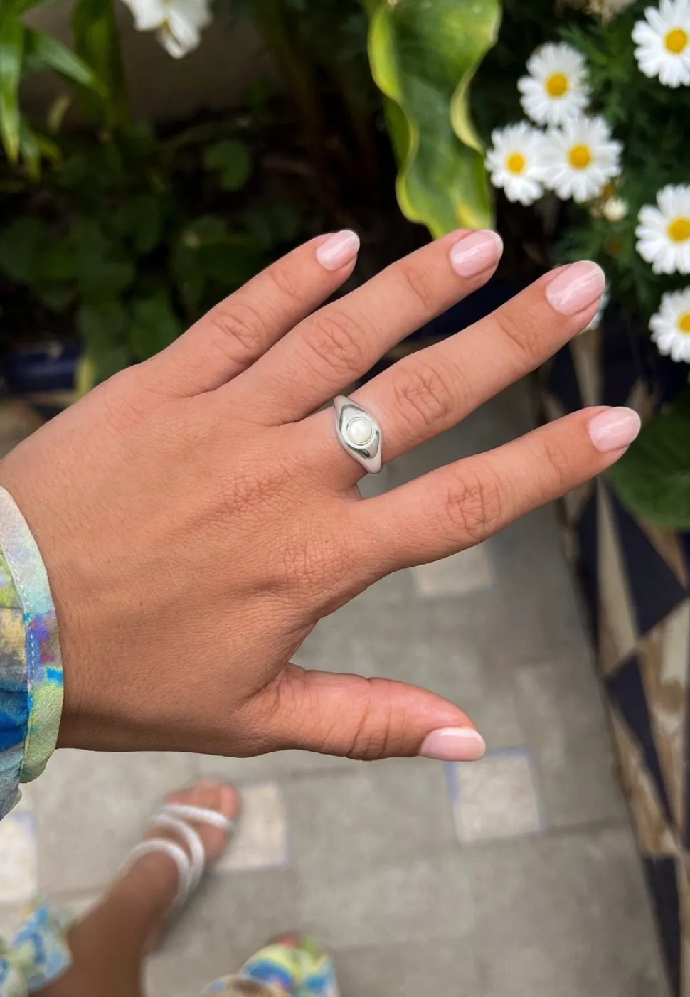 ANILLO SHASHANK