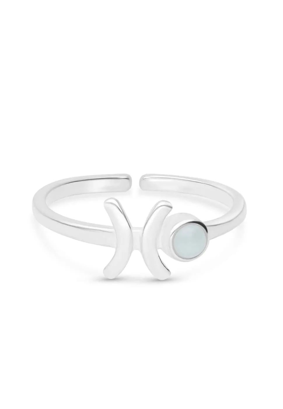 ANILLO ZODIACO