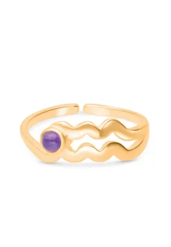 ANILLO ZODIACO BAÑADO EN ORO