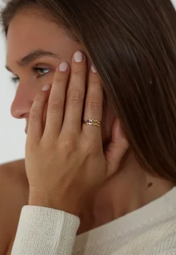 ANILLO ZODIACO BAÑADO EN ORO