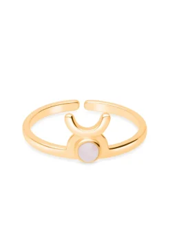ANILLO ZODIACO BAÑADO EN ORO