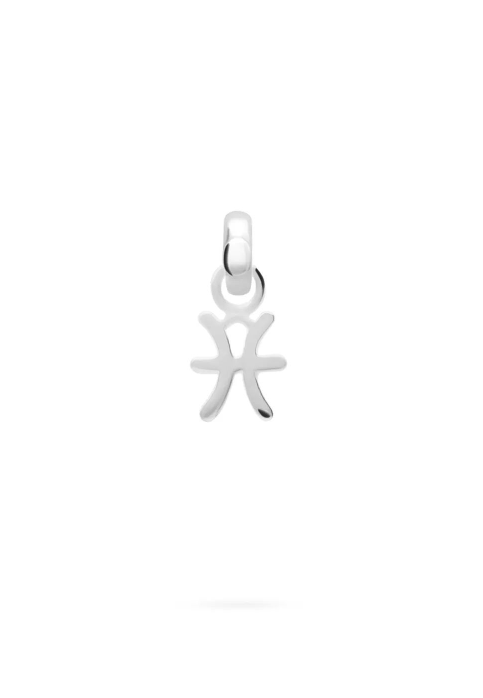 CHARM ZODIACO