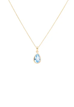 COLLAR HYDRUS