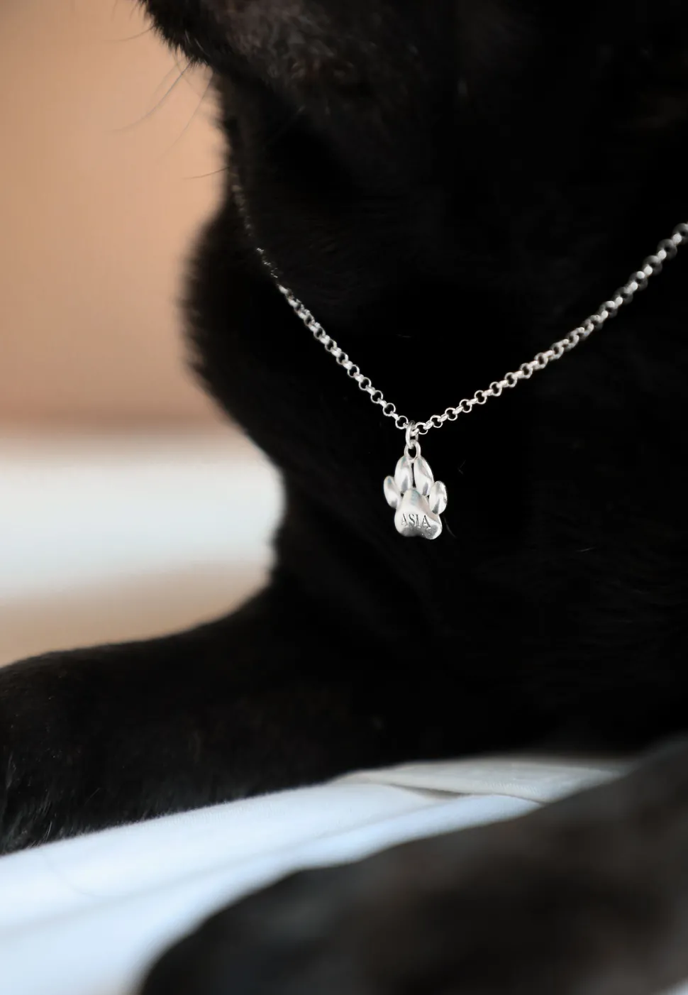 COLLAR PANJA (PERSONALIZADO)