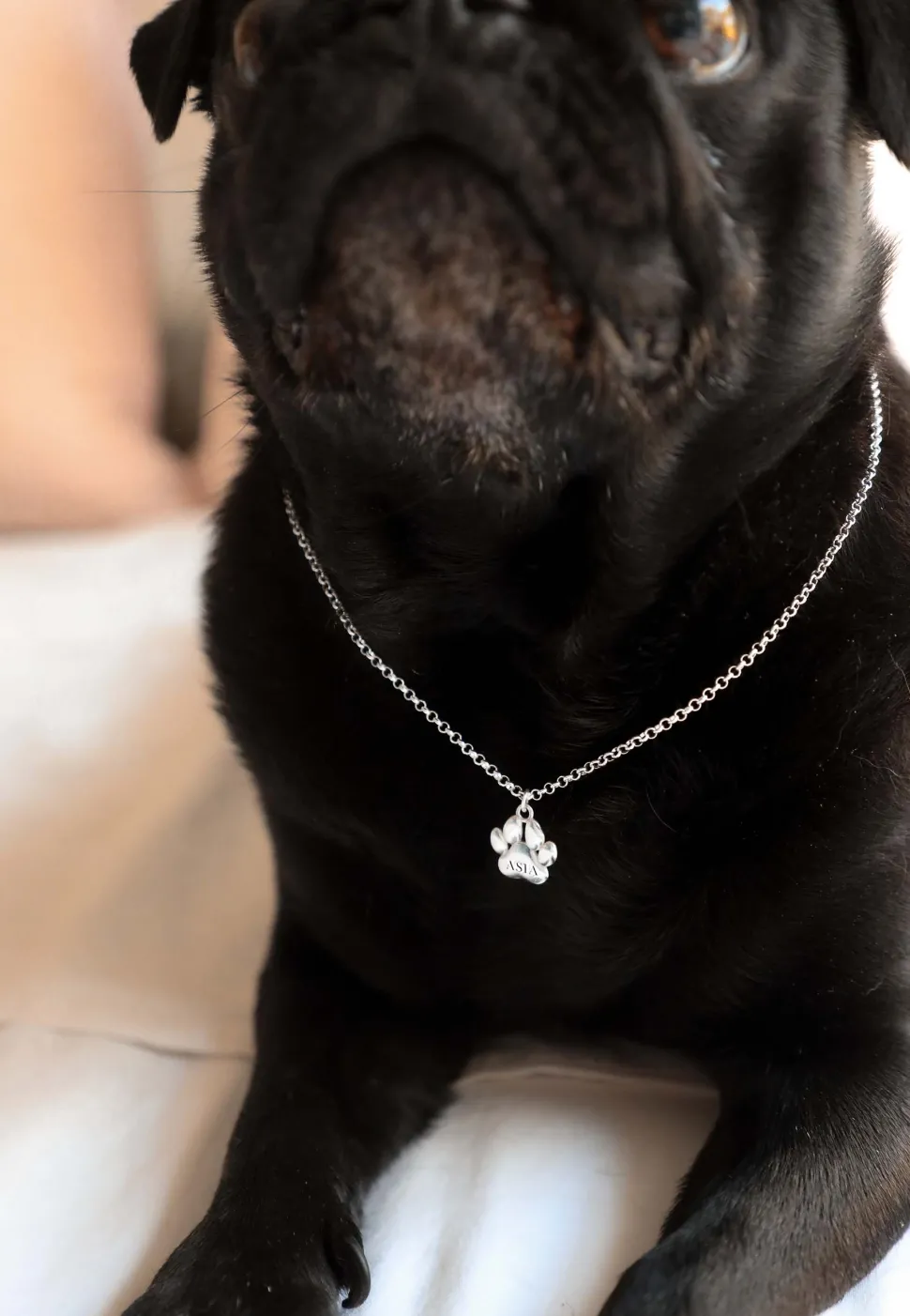 COLLAR PANJA (PERSONALIZADO)