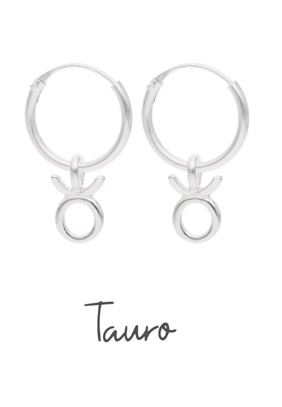 PENDIENTES ZODIACO (12MM)