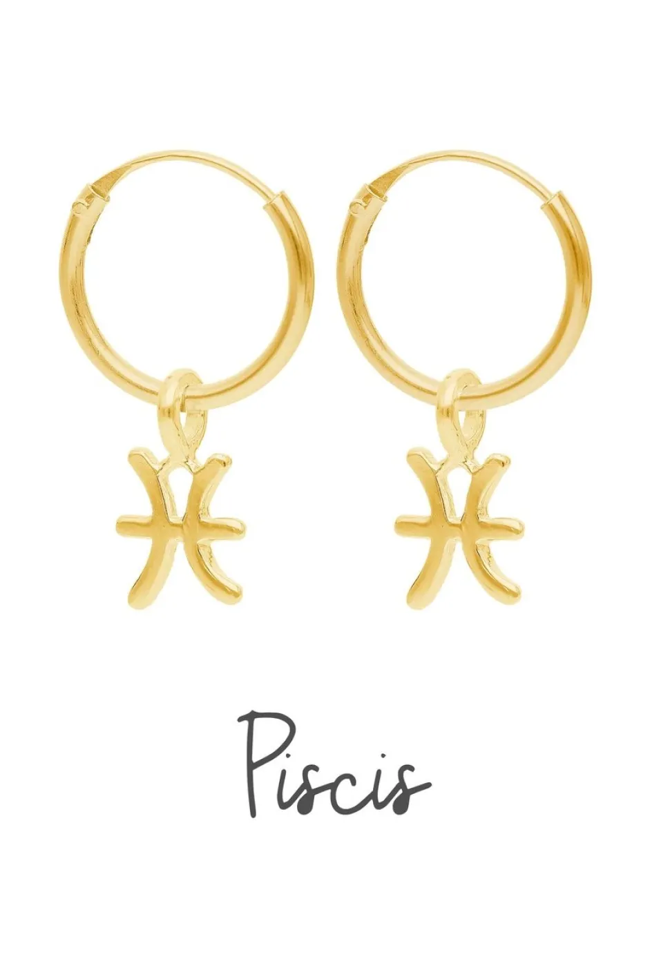 PENDIENTES ZODIACO (12MM) BAÑADOS EN ORO