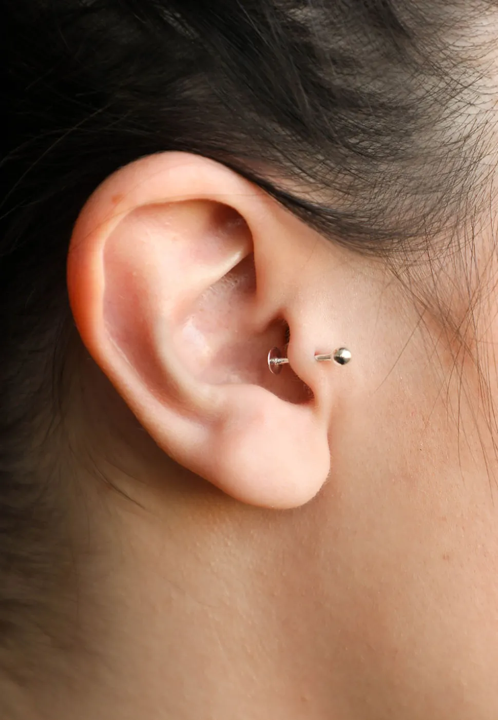 PIERCING URSA ORO BLANCO